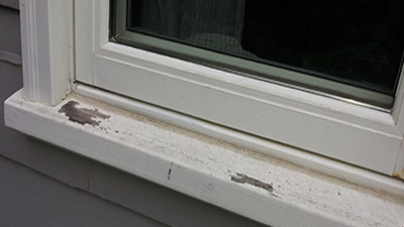 Exterior Paint Failure