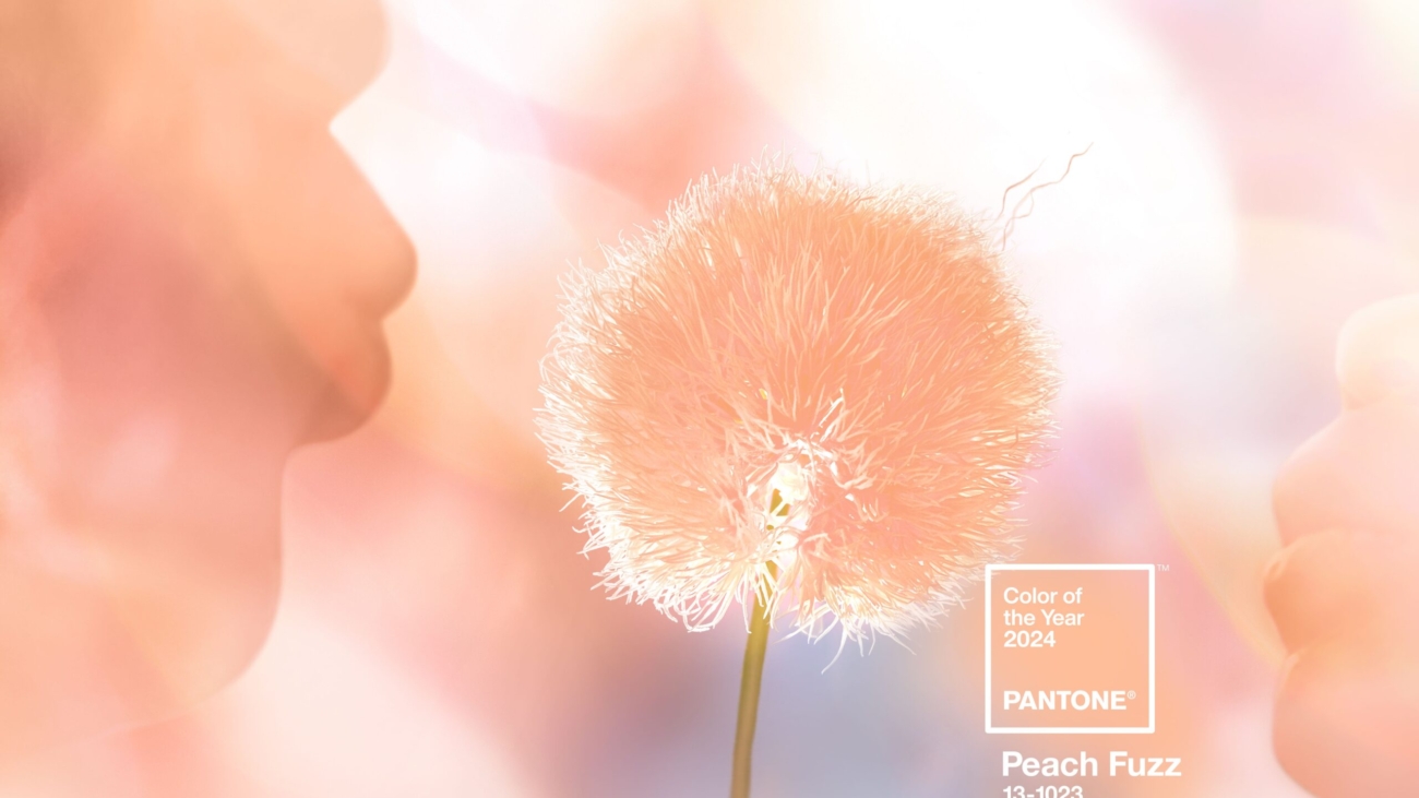 Pantone Color of the Year for 2024 Mostly a Miss